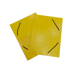 CHEMISE EN RABAT CARTONNÉ